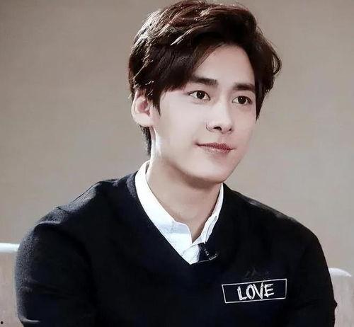 娱乐圈吃瓜李易峰是谁啊,揭秘李易峰的星光之路