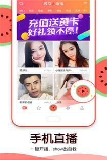 下载吃瓜直播,下载背后的娱乐狂欢